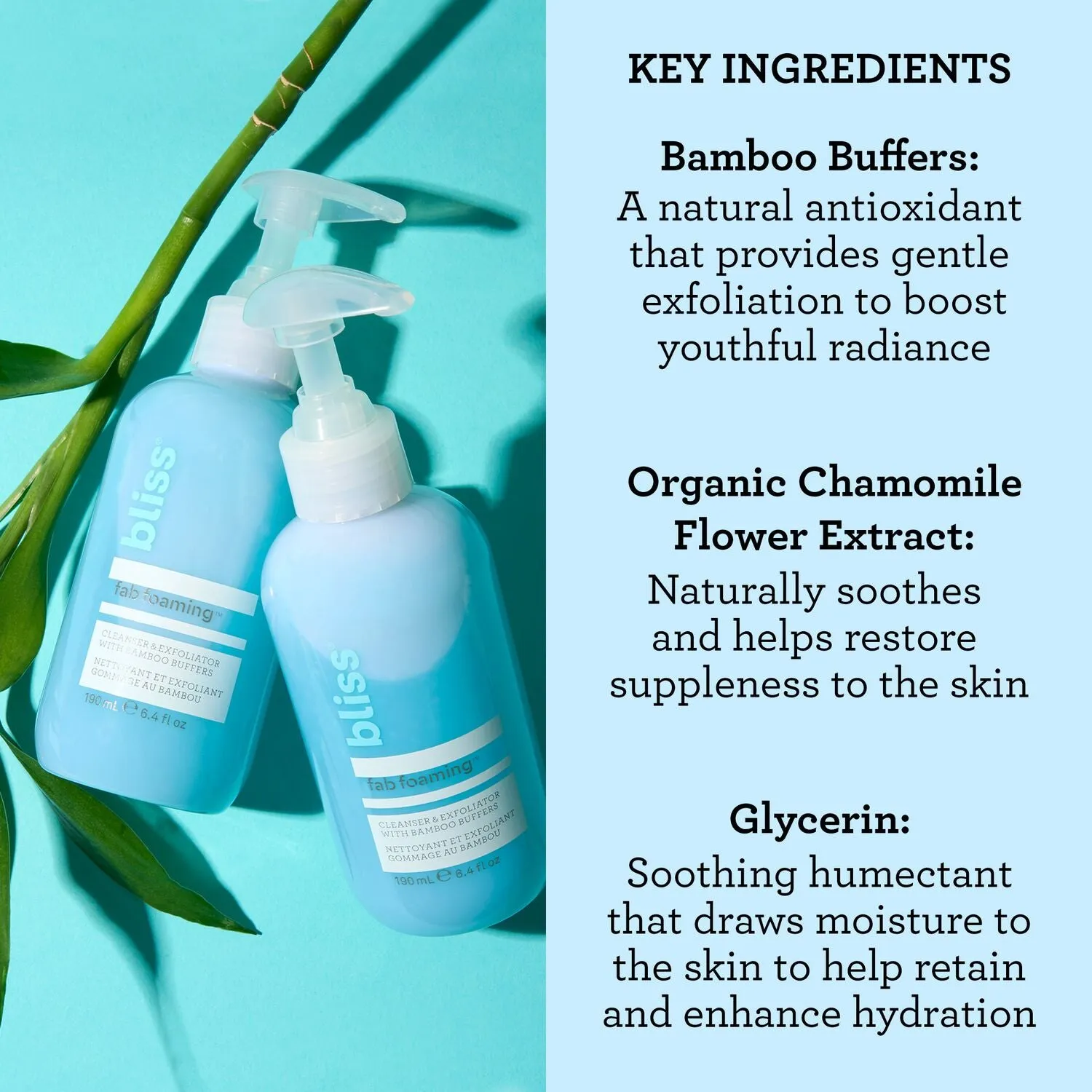 BLISS_BLISSPRIORITY13_FabFoaming2-in-1Cleanser_ExfoliatorwithBambooBuffers_6.4oz__IngredientsCallout-ECommerce_JPG_42c9a3b6-6efa-42ad-9f7b-ba00b643a31c.webp