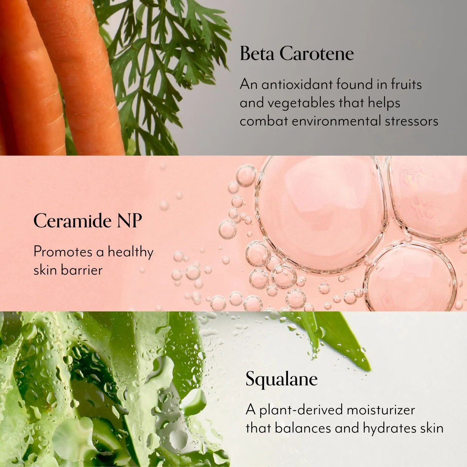 Bliss_MightyBiomeMoisturizer_HybridRefresh_Ingredients-ECommerce_JPG.webp