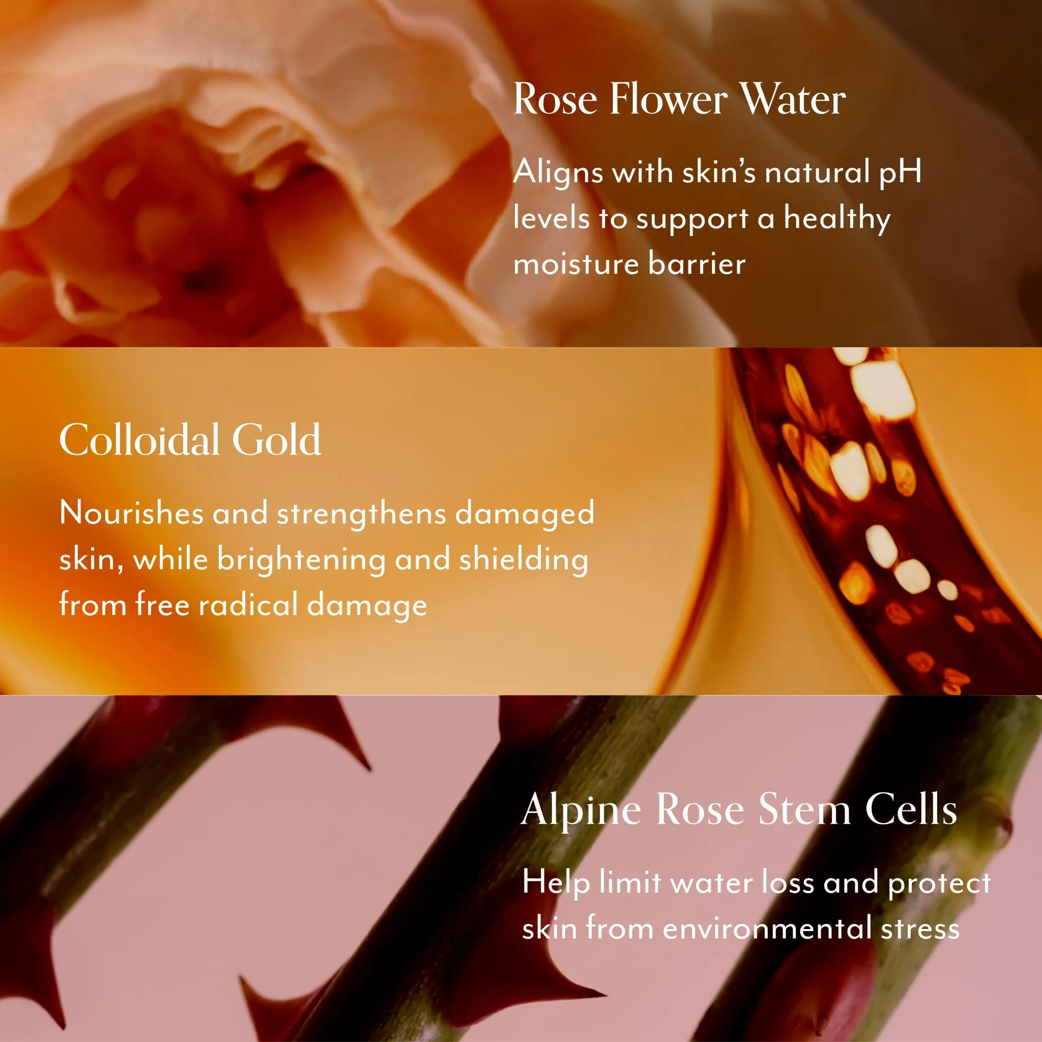 Bliss_RoseGoldRescueGentleMoistureCreamHYBRIDREFRESHPDP_Ingredients.webp